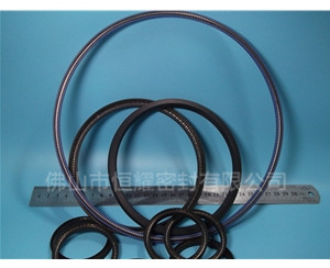 噴涂設備密封圈 (3)